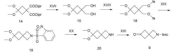 图1 6-氧代-2-氮杂螺[3.3]庚烷-2-羧酸叔丁酯的合成路线图.png