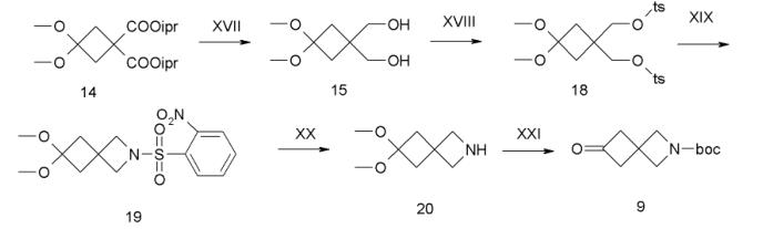 6-氧代-2-氮杂螺[3.3]庚烷-2-羧酸叔丁酯的制备及应用