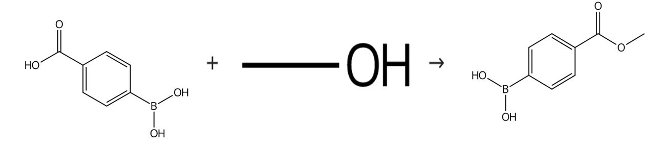 图2 4-甲氧羰基苯硼酸的合成路线
