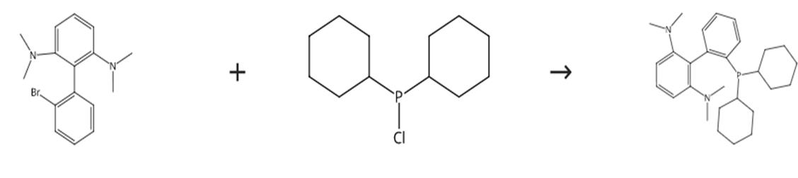 图1 2-二环己基膦-2'6'-双(N,N-二甲胺基)-1,1'-联苯的合成路线
