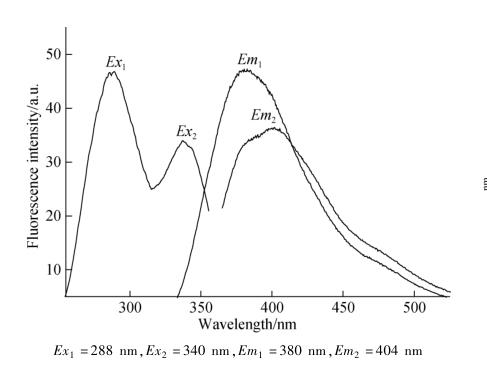 图1 硫代水杨酸的二维荧光光谱.png