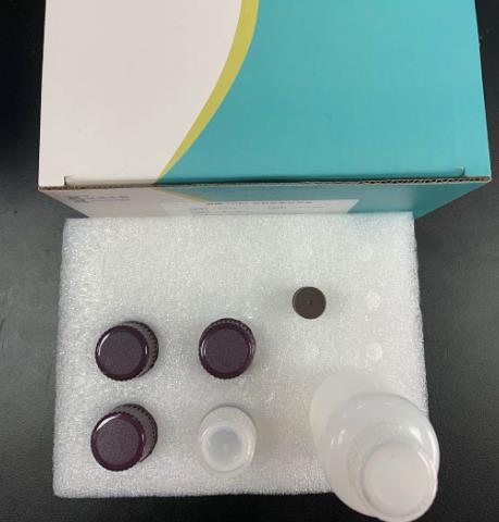 细胞线粒体分离试剂盒的应用