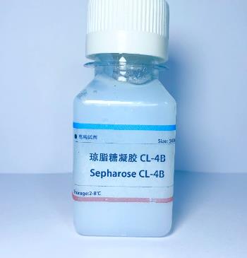 胰蛋白酶-琼脂糖凝胶4B的应用