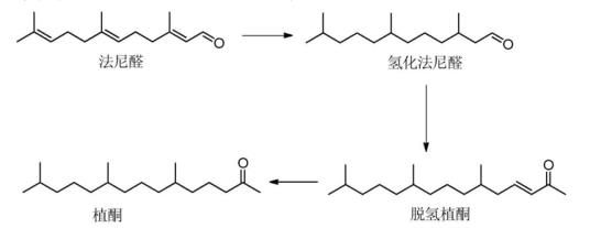 图1 植酮的合成路线图.png