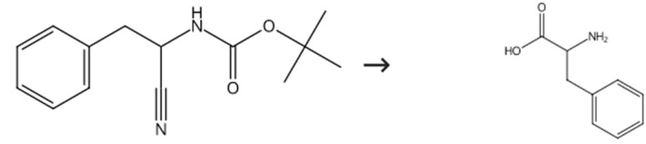 图2 DL-苯丙氨酸合成路线