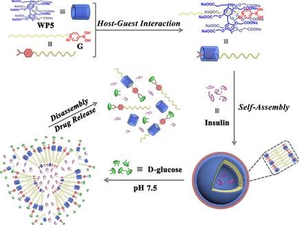 葡萄糖响应超分子药物递送系统的材料的制备.jpg