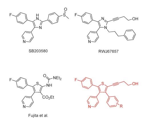 p38α MAPK抑制剂的合成.jpg