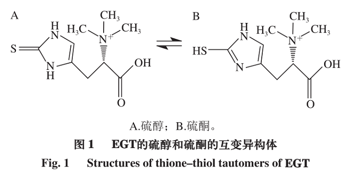 EGT的结构