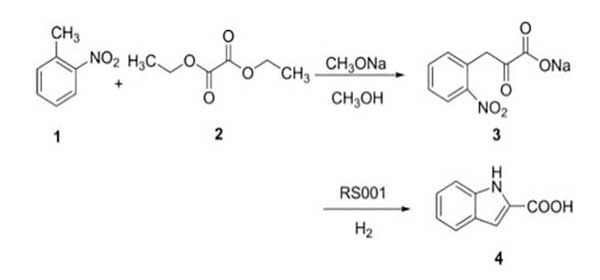 2-吲哚甲酸的合成1.jpg