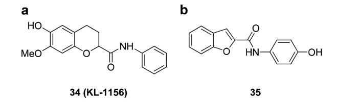 2,3-苯并呋喃衍生物的NF-κB抑制活性.jpg