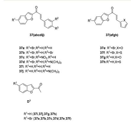 2,3-苯并呋喃衍生物的体外抗肿瘤活性.jpg