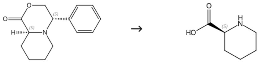 L-2-哌啶酸的合成