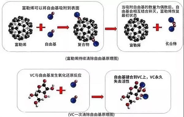 富勒烯对自由基有高度的亲和