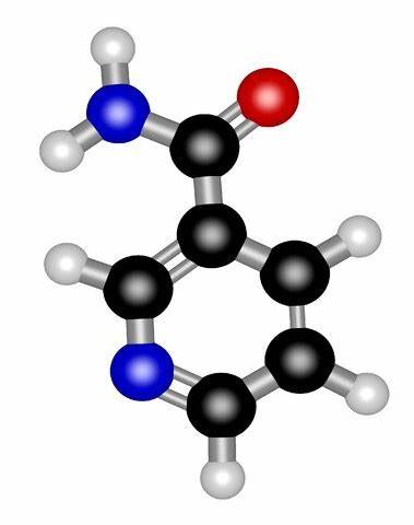 什么是烟酰胺？烟酰胺的功效与作用有哪些？