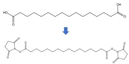 十六碳二酸和羟胺的缩合反应