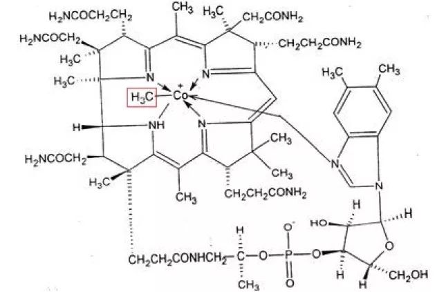 维生素 B12