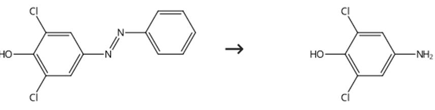 图1 2，6-二氯-4-氨基苯酚的合成路线