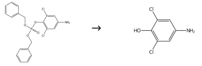 图3 2，6-二氯-4-氨基苯酚的合成路线