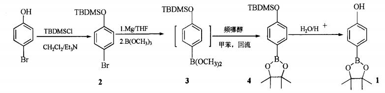 4-羟基苯硼酸频哪醇酯合成路线