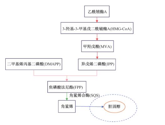 图1 哺乳动物细胞中通过 MVA 途径合成反式角鲨烯.png