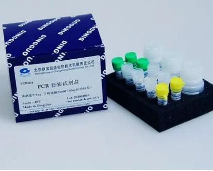 耐久肠球菌PCR试剂盒的应用