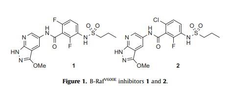 丙基黄酰氯合成的B-Raf V600E)抑制剂.jpg