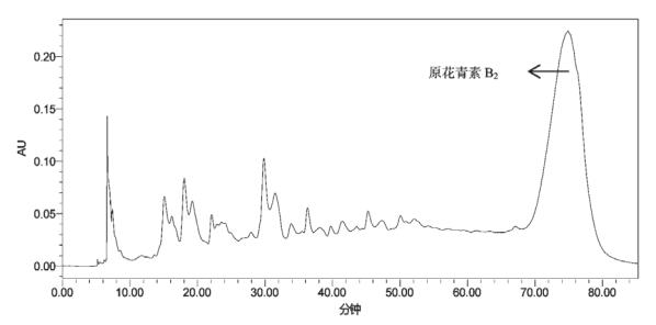 图3 葡萄籽提取物原花青素B2半制备色谱图