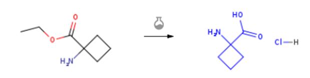 1-氨基-1-环丁基羧酸盐酸盐的制备