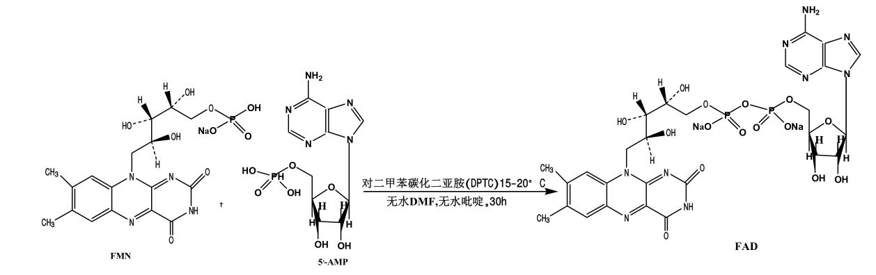 图1 黄素腺嘌呤二核苷酸二钠盐的合成反应式.png