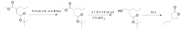 (R)-4-Propyldihydrofuran-2(3H)-one