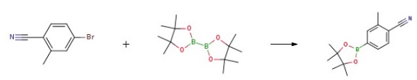 2-Methyl-4-(4,4,5,5-tetramethyl-[1,3,2]dioxaborolan-2-yl)-benzonitrile
