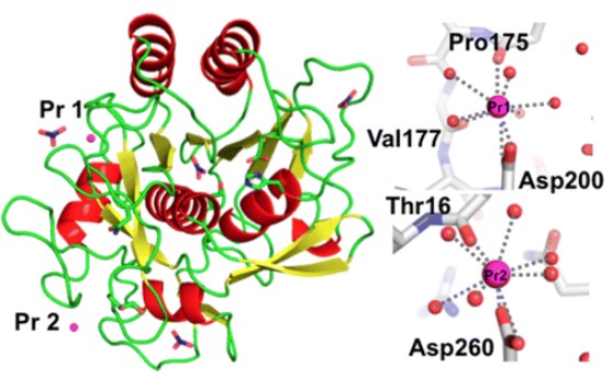 39450-01-6 Proteinase K proteindegrade proteinscatalystheavy atom