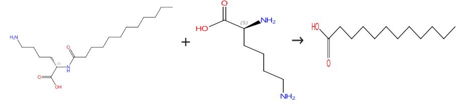 图1 N-(十二酰基)赖氨酸的合成路线