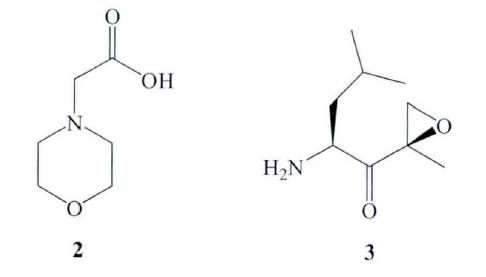 中间体吗啉-4-基乙酸和中间体3结构式