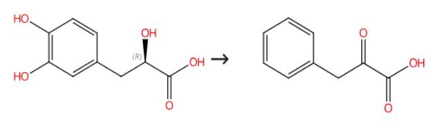 苯丙酮酸的合成方法
