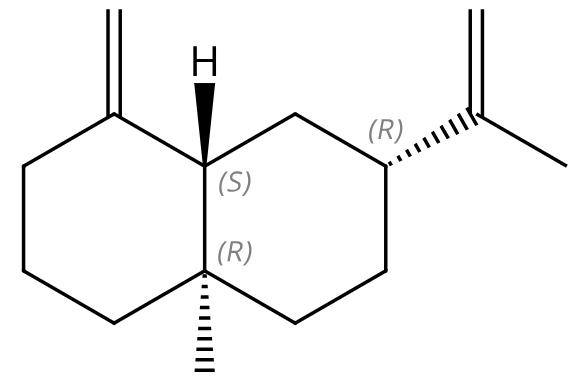 Β-瑟林烯的含量测定及其用途