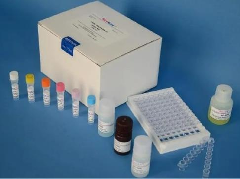 新港沙门氏菌PCR试剂盒.png