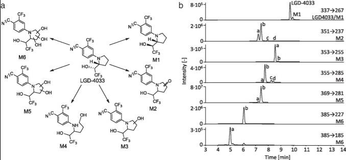 Figure. 1 a Structures of LGD-4033 and main metabolites, and b extracted ion chromatograms of LGD-4033 and selected metabolites in a sample after the ingestion of five doses of 50 µg of LGD-4033