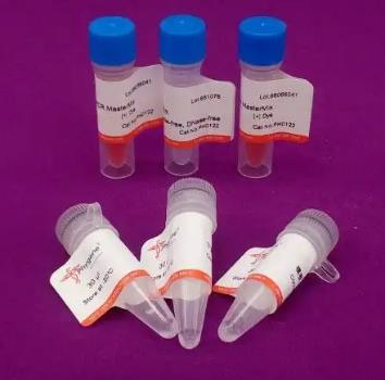 犬诺瓦克病毒PCR试剂盒.png