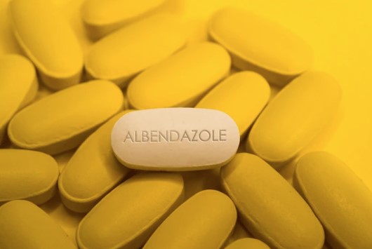 54965-21-8 Albendazolealbendazole hydrochlorideABZSide effectsMechanism of Action