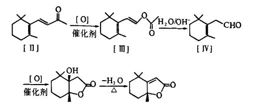 β-紫罗兰酮合成二氢猕猴桃内酯的路线