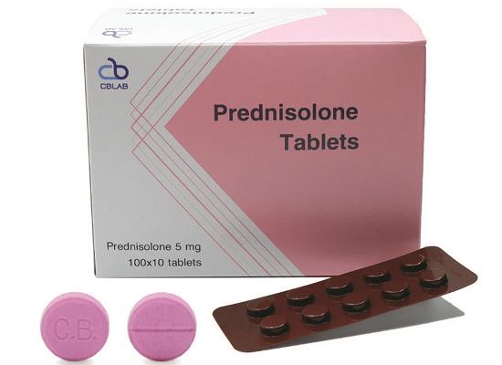 50-24-8 Mechanism of prednisolone pharmacokinetics of prednisolone side effects of prednisolone