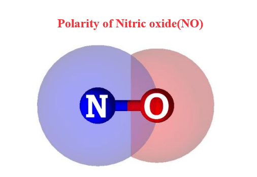 Polarity of Nitric oxide(NO)