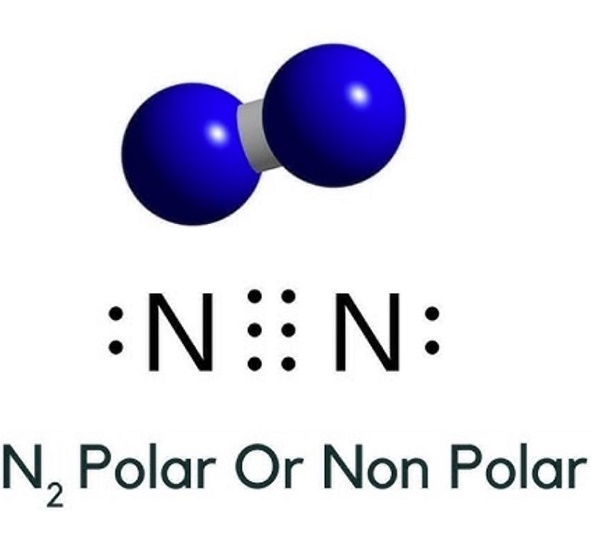 1635-61-6 Properties of 5-Chloro-2-nitroanilineapplications of 5-Chloro-2-nitroanilinesafety of 5-Chloro-2-nitroaniline