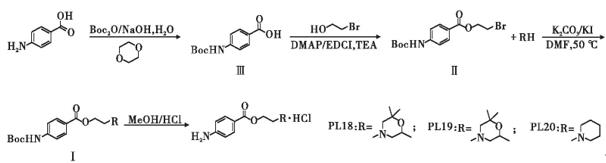 Figure 1. Synthesis of Procaine