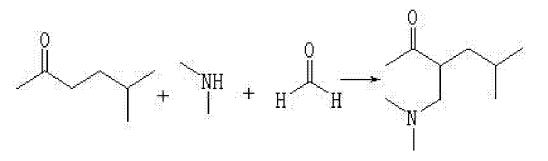 3-[(二甲基氨基)甲基]-5-甲基-2-己酮反应式