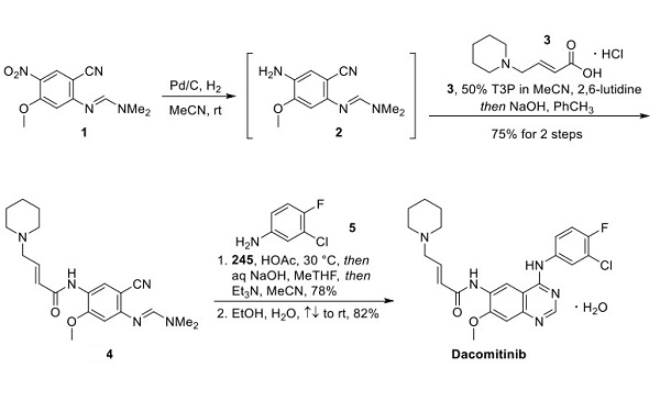 1110813-31-4 Dacomitinib (PF299804)epidermal growth factor receptorEGFR TKISynthetic method