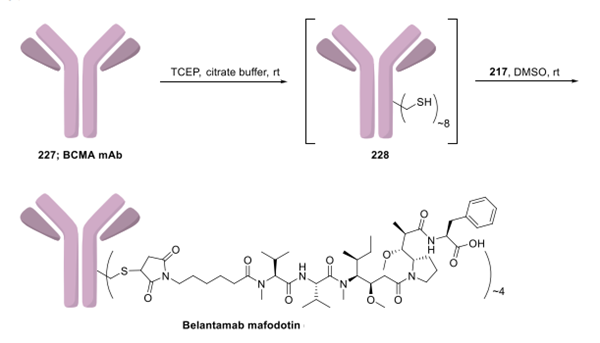 Belantamab Mafodotin synthesis