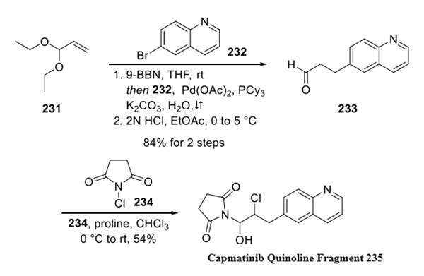 Capmatinib Quinoline Fragment synthesis
