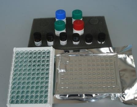 刚地弓形虫PCR试剂盒.png